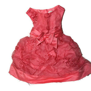 Rare Editions Pink Satin Chiffon 2T
